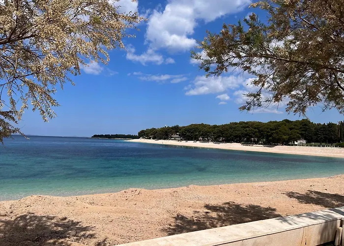 Sunhill Deluxe Laura Primosten